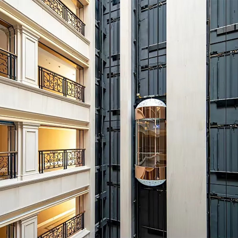 Elevadores VTEP108 Ascensores de pasajeros rápidos y suaves para propiedades comerciales Servicio rápido