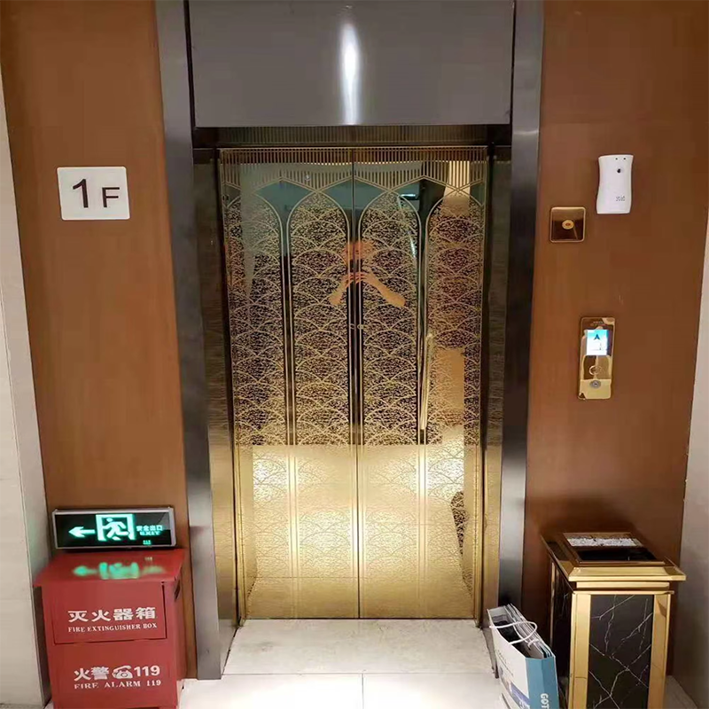 VTEO102 Ascensores Ascensor de Observación de Alta Calidad para Edificios Escénicos y Turísticos