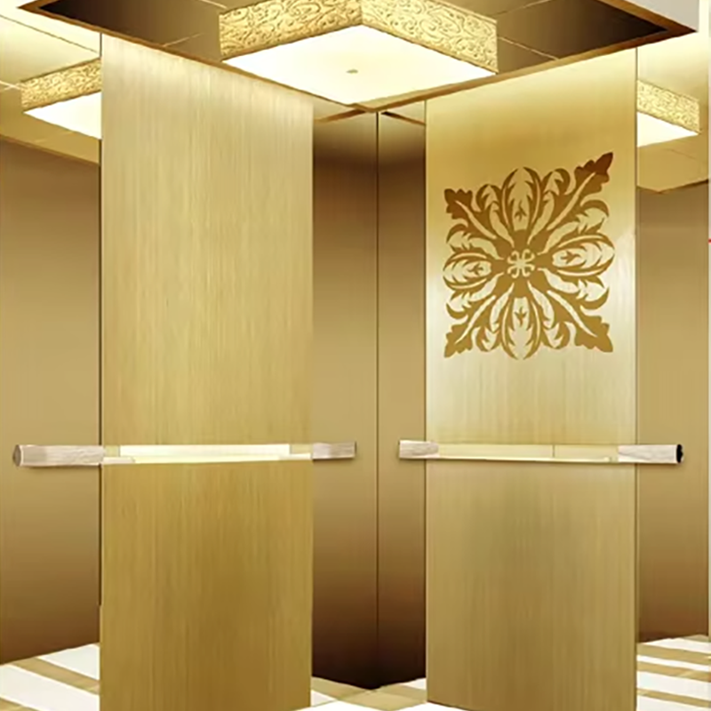 VTEO102 Ascensores Ascensor de Observación de Alta Calidad para Edificios Escénicos y Turísticos