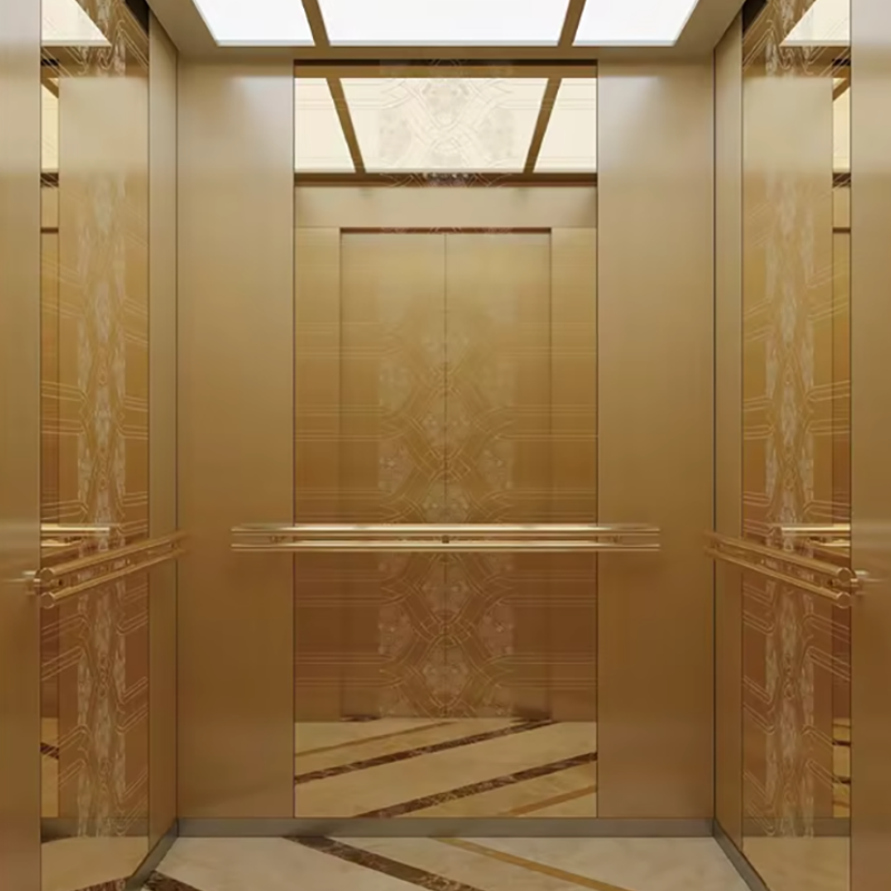 VTEO102 Ascensores Ascensor de Observación de Alta Calidad para Edificios Escénicos y Turísticos