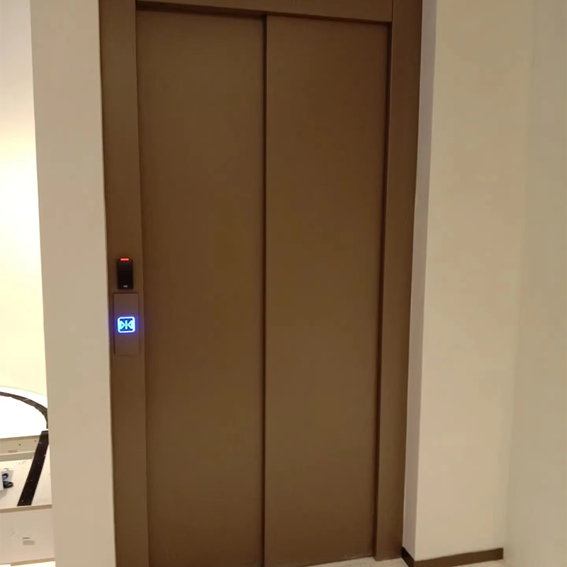 VTEP111Ascensores Elevadores de Pasajeros Personalizables con Funciones Avanzadas de Seguridad