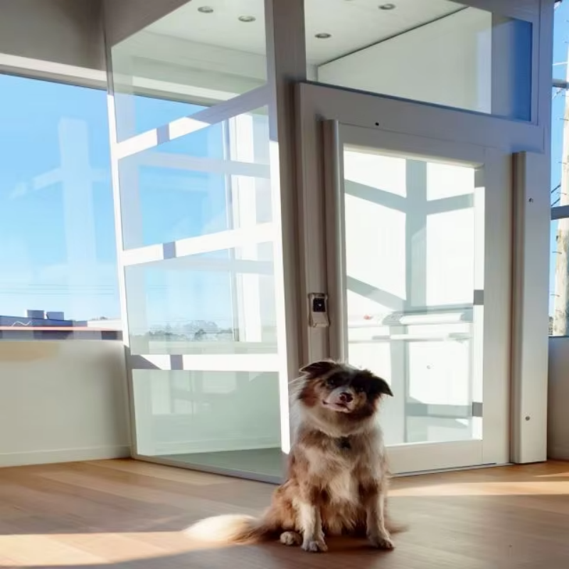 VTEP112 Elevadores Ascensor de Pasajeros de Alta Velocidad para Movimiento Vertical Rápido