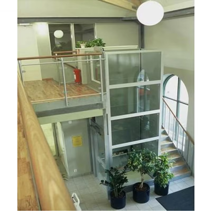 VTEV103 Ascensores Elevadores Smart Control Villa Lift para un cómodo transporte en el hogar