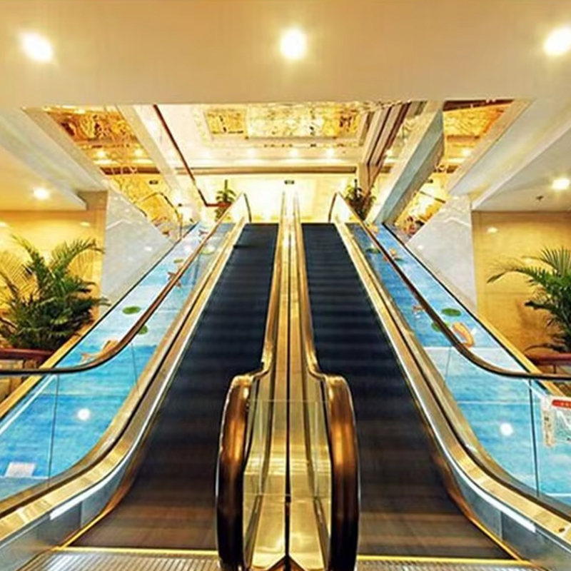 VTES102 0,5 m_s Ascensor de velocidad Escalera mecánica para exteriores y paseos en movimiento a precio de fábrica