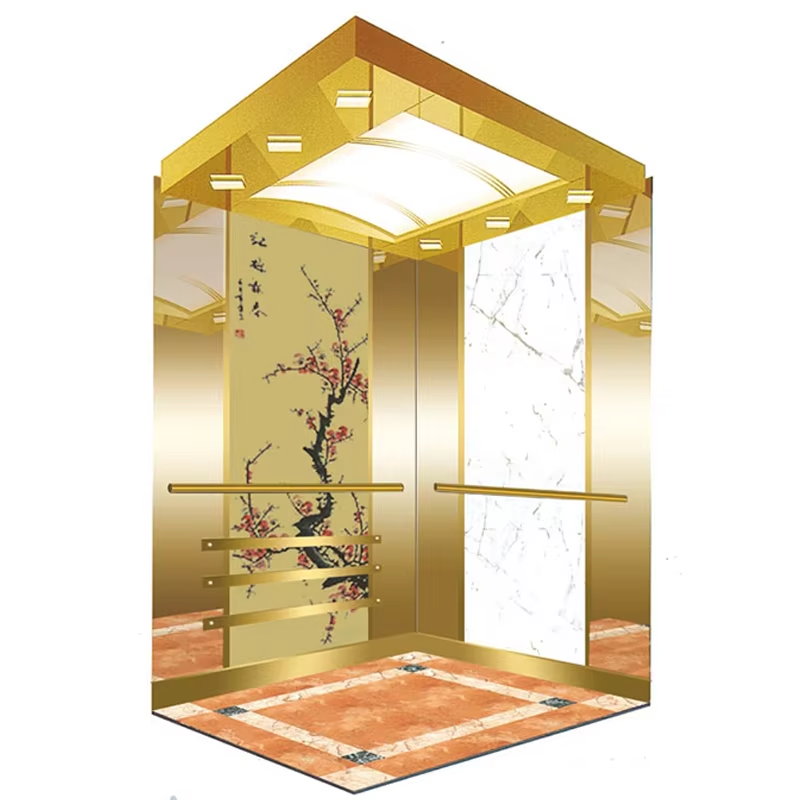 Elevador de observación de alta velocidad Ascensores VTEO105 con funcionamiento suave y silencioso