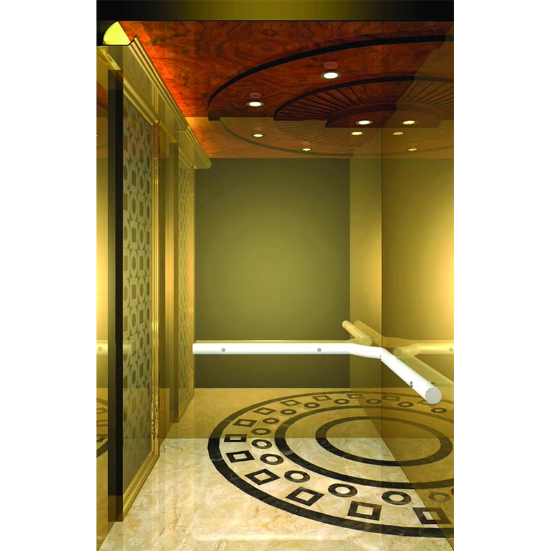 VTSP133 Cabina elevadora de hotel de lujo con diseño contemporáneo de acero inoxidable de primera calidad, color personalizado, garantía de 1 año